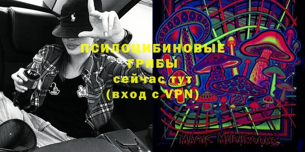 сатива Белоозёрский