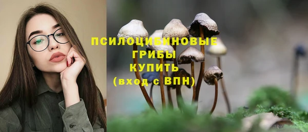 сатива Белоозёрский