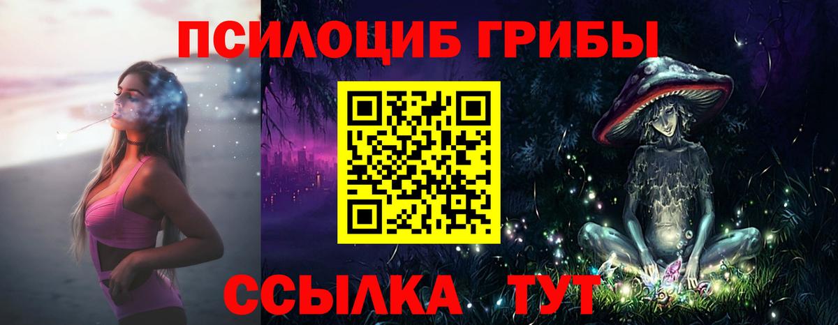 Коркино  Псилоцибиновые грибы GOLDEN TEACHER  Вход с VPN 