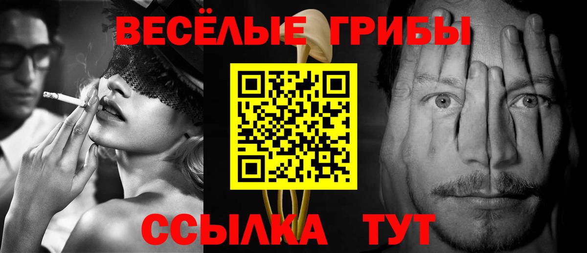 Галлюциногенные грибы MAGIC MUSHROOMS  Галлюциногенные грибы Psilocybine cubensis  Коркино 